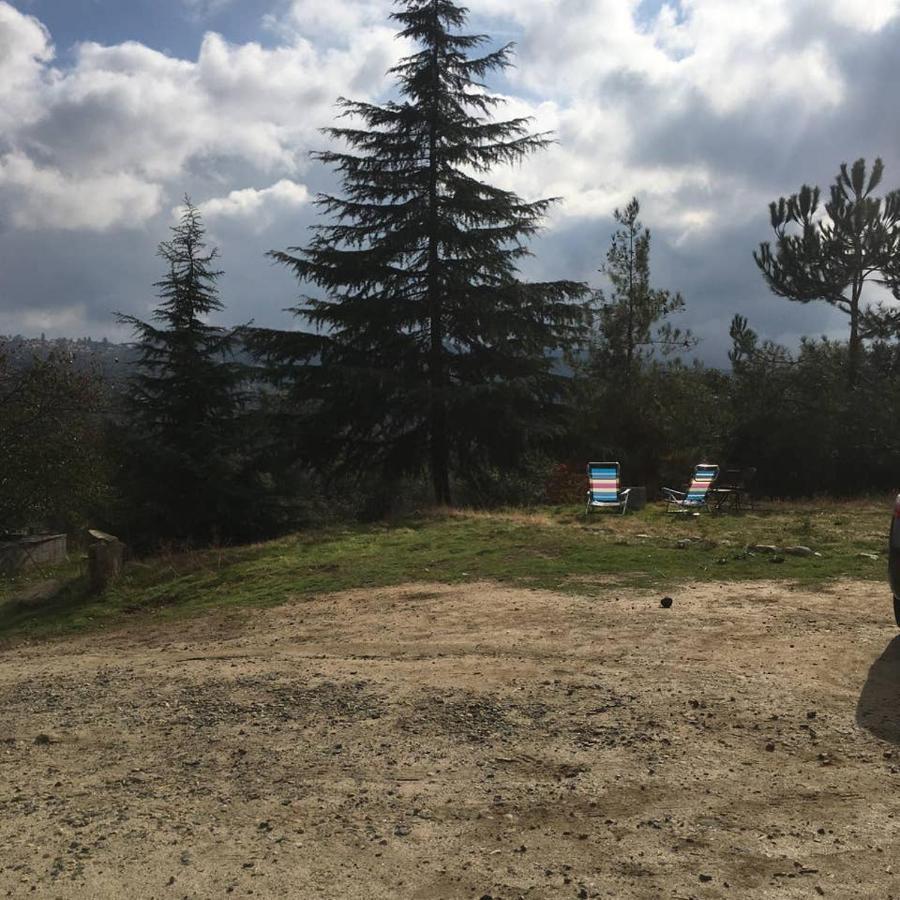 Sequoia Forest Retreat Badger Dış mekan fotoğraf